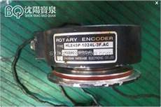 Rotary Crane